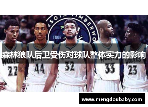 森林狼队后卫受伤对球队整体实力的影响
