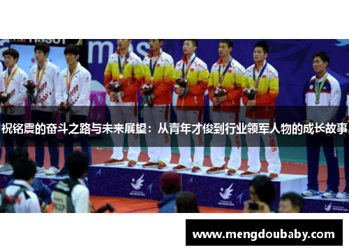 祝铭震的奋斗之路与未来展望：从青年才俊到行业领军人物的成长故事