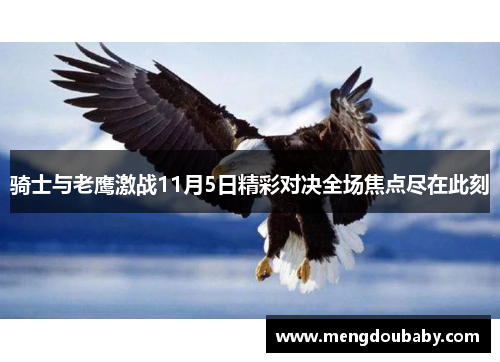 骑士与老鹰激战11月5日精彩对决全场焦点尽在此刻