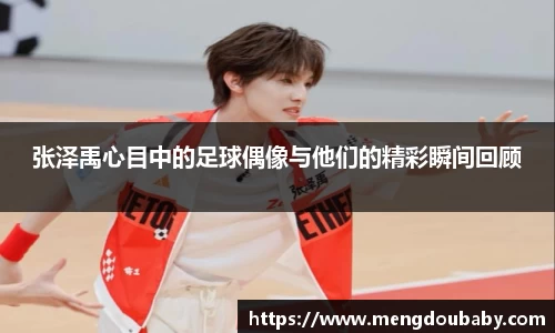 张泽禹心目中的足球偶像与他们的精彩瞬间回顾