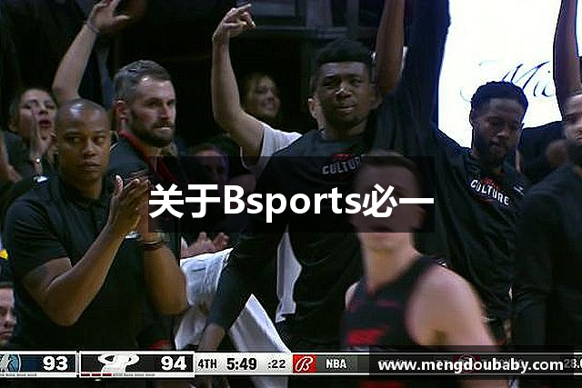 关于Bsports必一